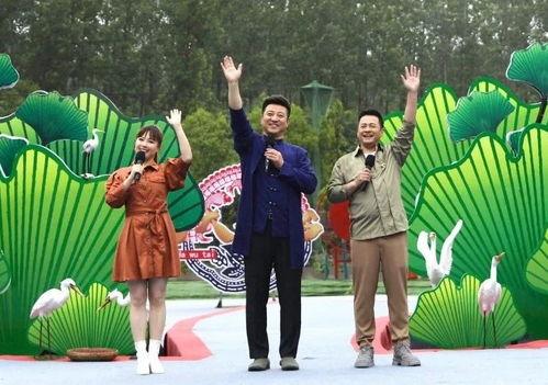 梅尔文最新爆料新闻视频,最新爆料新闻视频深度解析