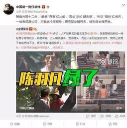 李丽欣被人爆料视频播放,真相与争议 第2张 李丽欣被人爆料视频播放,真相与争议 第2张